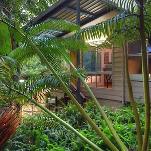 Lodge Chambers Wildlife Rainforest, Lake Eacham